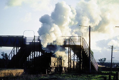 SMR24 and SMR18 power through Weston, South Maitland Railways, NSW, June, 1983. by garratt3, Bringing a load of coal from Pelton, SMR24 and SMR18 blast under the now derelict Weston station foo