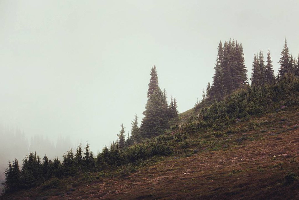 - #iota to the moon... an olympic national park high divide loop zen moment. chapter 29. - olympic national park, washington. on the high divide loop. summer 2017. http://ift.tt/1klghXx - #travel #backpacking #hiking #camping #mountains #adventure #landsc