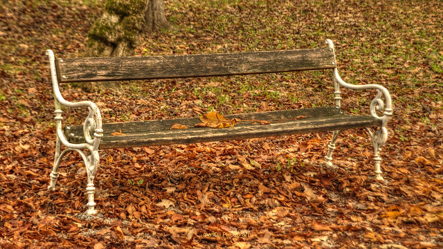 Alone bench