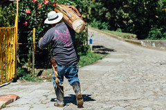 Cowboy Carrying Log, Carolina Del Principe Colombia