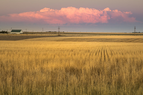 cumulus red by Christian Collins, Driving east on I-70 I could see a bank of cumulus clouds rising in the east, when the sunset light 
