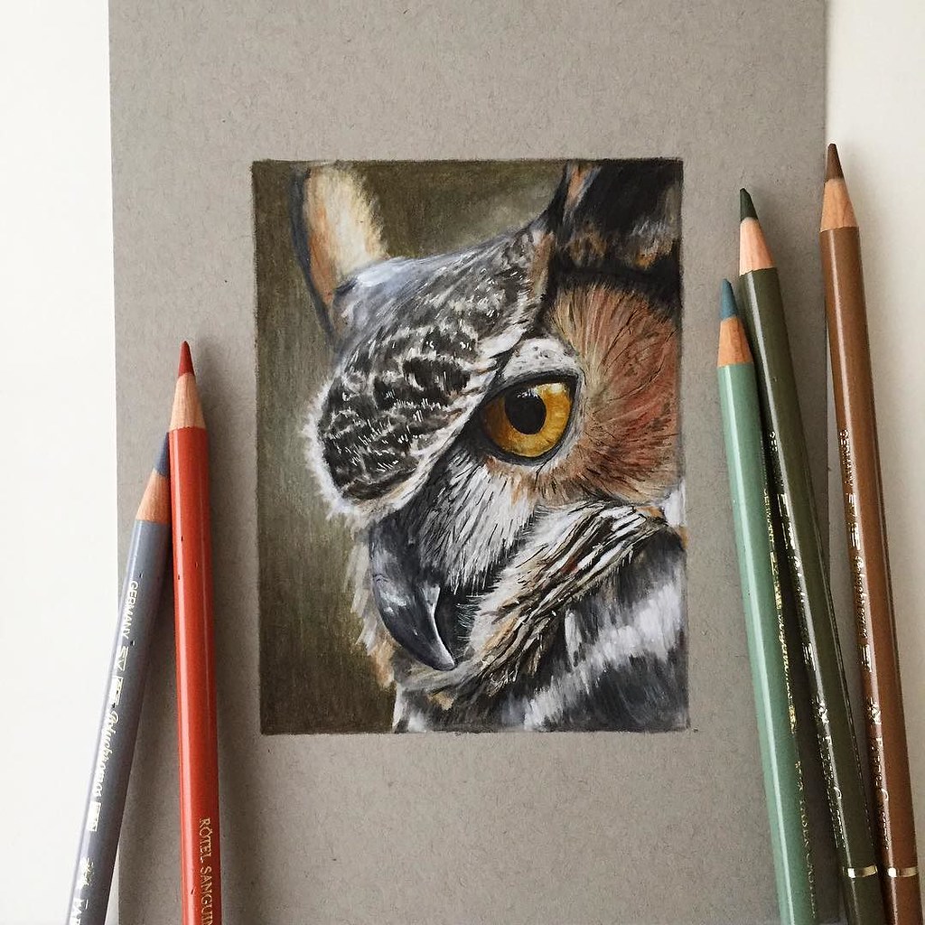 I always forget how much I love drawing owls. Any suggesti… | Flickr