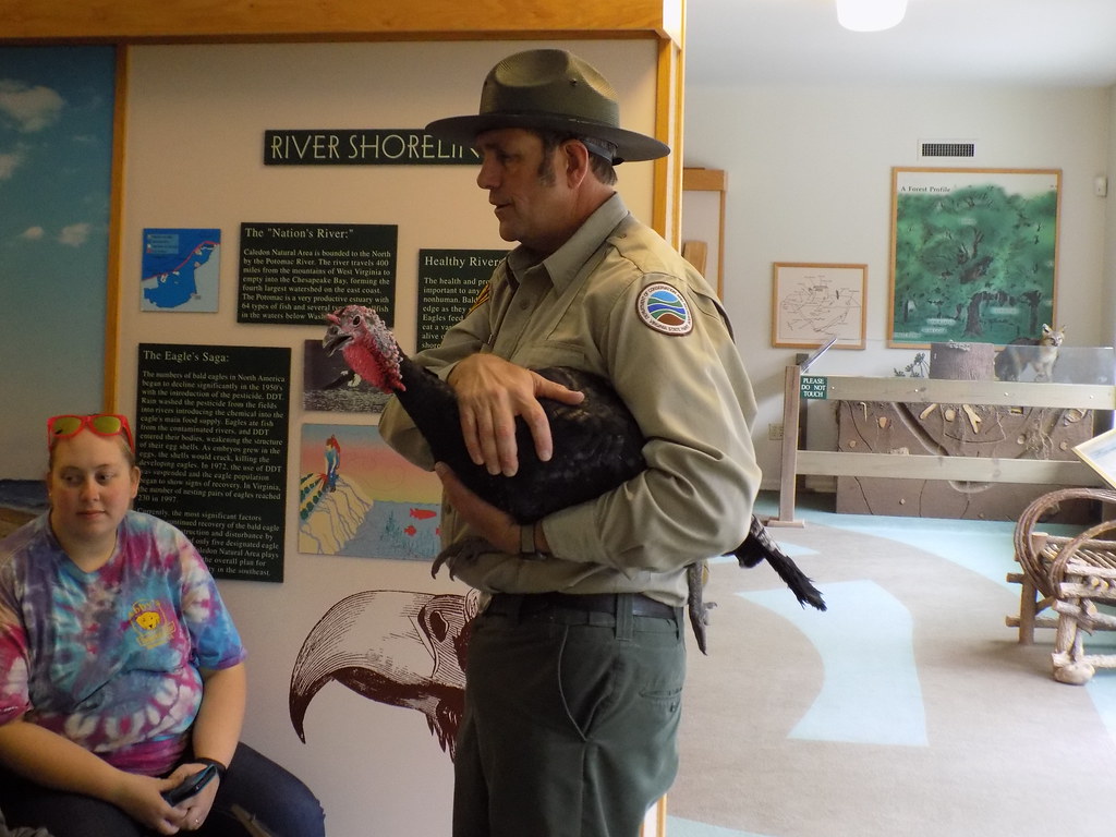 Turkey Ranger CA_Talking Turkey | A Ranger shares information about the wi… | Flickr