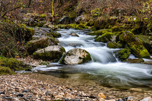 Mountain stream Doriaz-9730