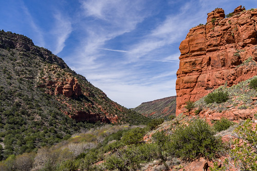 arizona coconinonationalforest forestservice pentaxk1 redrockrangerdistrict usfs wetbeavercreek wetbeavercreekcanyon wetbeaverwilderness canyon desert forest hiking outdoors riparian spring trail wilderness rimrock unitedstates