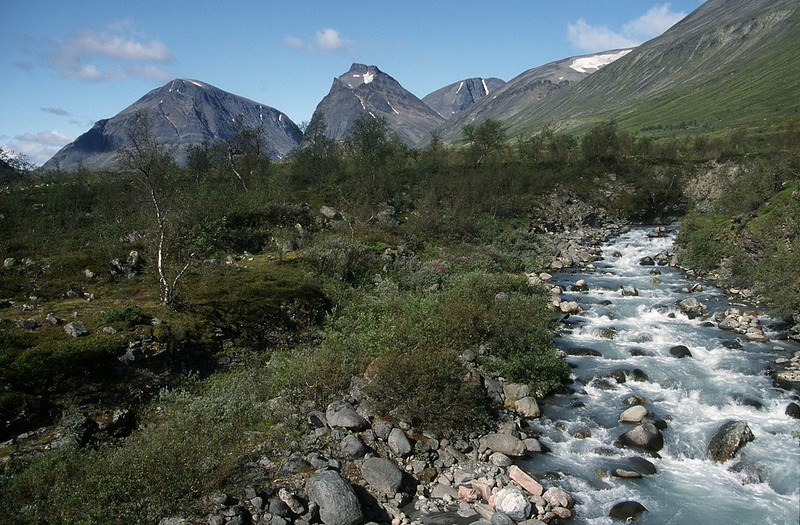 t0306080F | Bach im Laddjuvaggi, in der Nähe der Kebnekaise-Fjällstation. Kebnekaise-Gebiet / Sápmi (Lappland), 08.08.2003