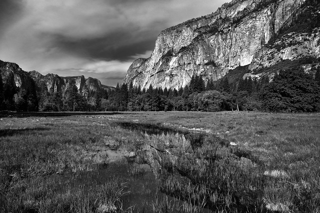 Reflections of a Mountainside in a Pond of Water (Black & White, Yosemite National Park)