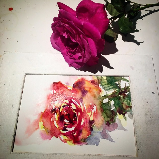 Day 845. The #rose #painting for today. #watercolour #watercolourakolamble #sketching #stilllife #flower #art #fabrianoartistico #hotpress #paper #dailyproject