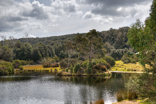 australia tasmania cradlemountain nationalpark pond forest tree trees water sky clouds