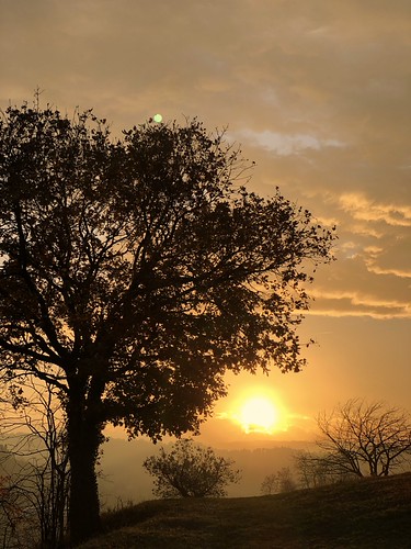 Cesena by Volpe Marco, ponteabbadesse nature like4like like hq cesena love top handed iphone iphonex