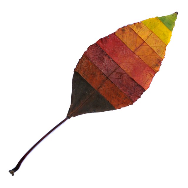 fall colors (brescia, italy)
