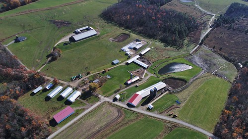 farm dairy drone quadcopter aerial photography phantom4advanced