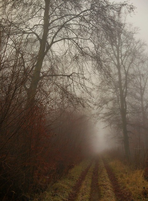Misty autumn day