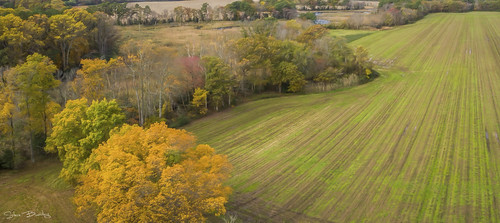 sussex lewes farmland wetlands greatmarsh fall autumn foliiage