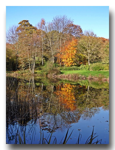 france bretagne brittany finistère carhaix lhyères étang rivière arbres automne couleurs oies cygne eau reflets