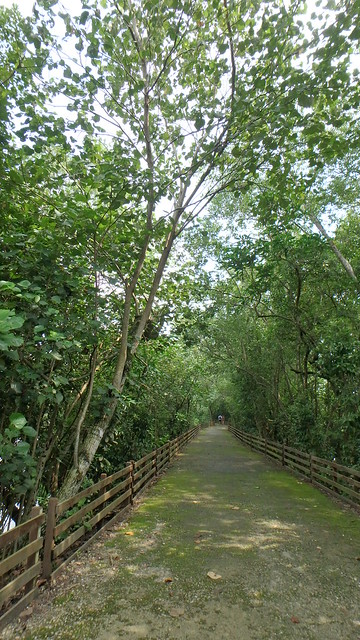 Sungei Buloh Wetland Reserve: Route 1