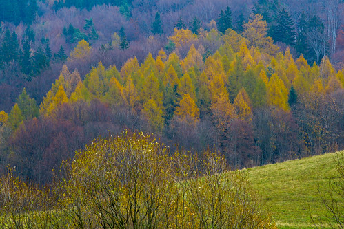 2017 jugowice zagórześląskie zamekgrodno autumn color fall góry jesień kolor krajobraz landscape manuallens mountains yellow zamki żółty pentacon 13518