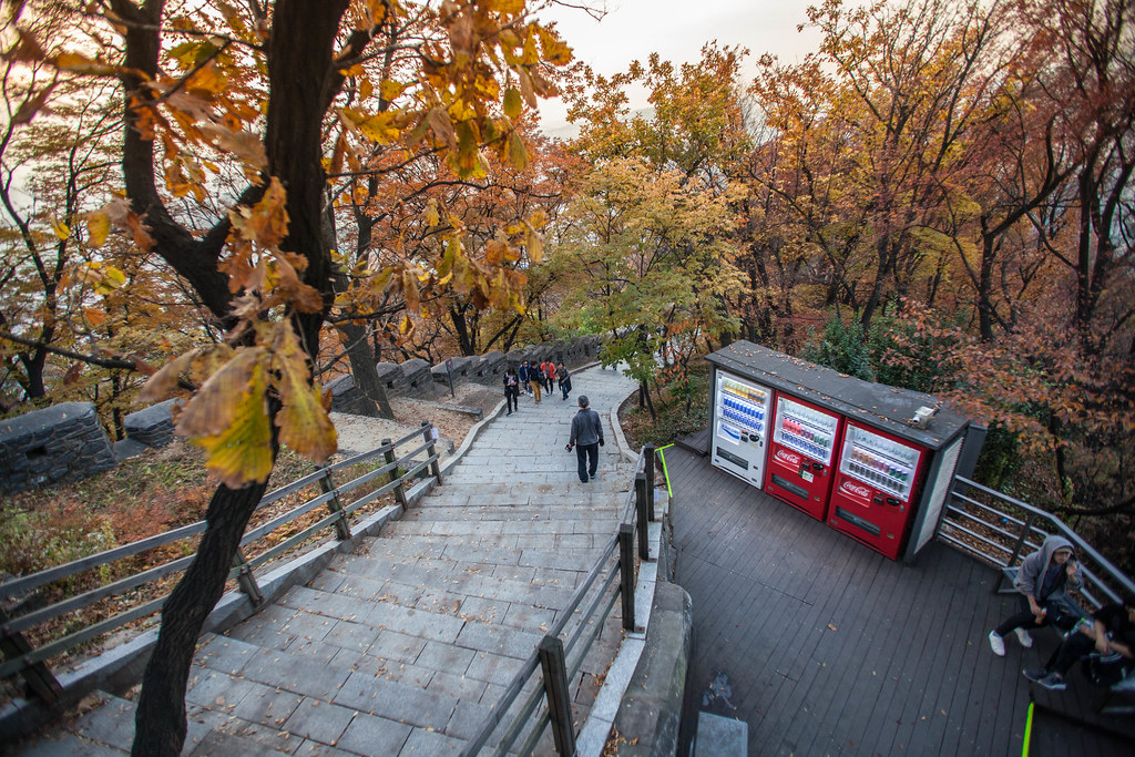 Soju and Yakult, autumn korea
