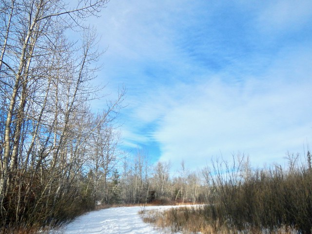 Fish Creek Provincial Park Urban Walk - Nice trails and blue skies