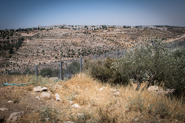 Cremisan Valley near Bethlehem with separation wall
