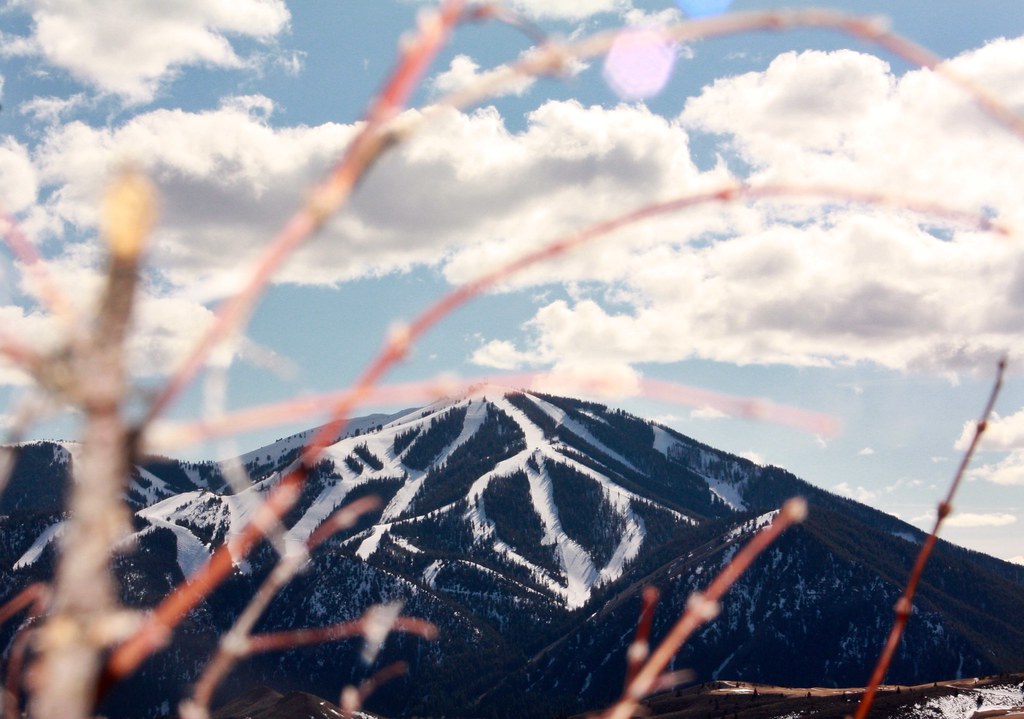 Aspen Loop