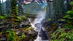 Athabasca falls.Jasper national park