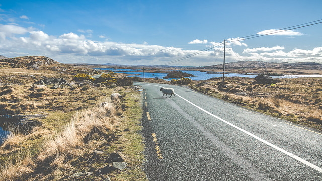 Connemara Roads