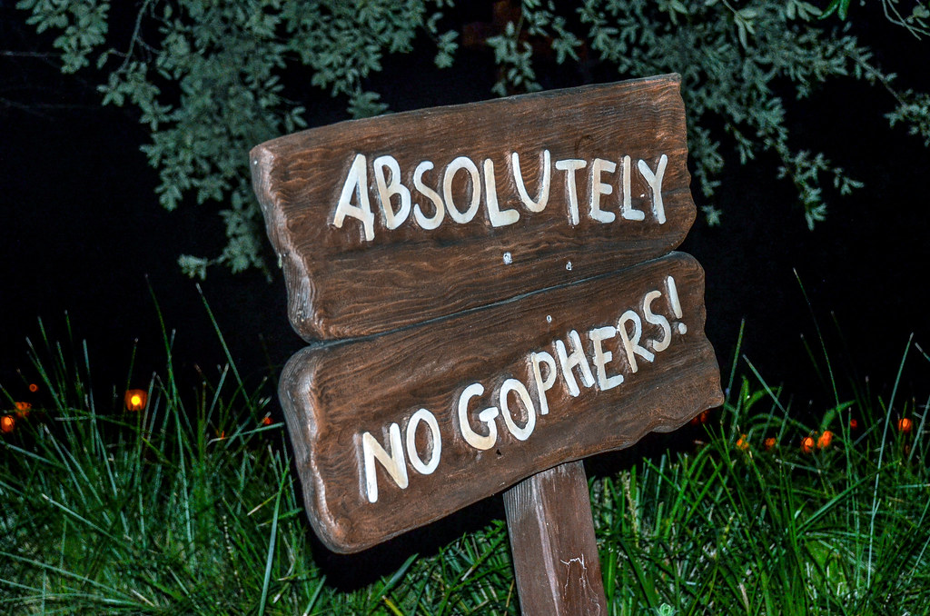 No gophers sign MK