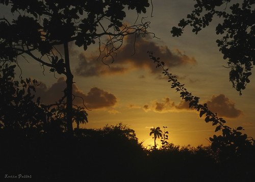 Entardecer by Lucia Cysneiros, recife brasil pordosol sunset