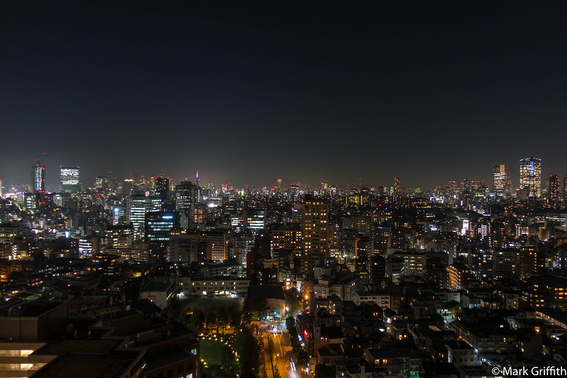 The Megatropolis