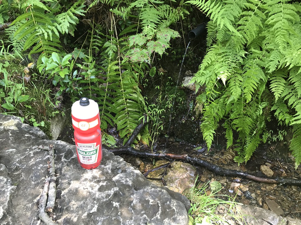 Little Shingletown Trail