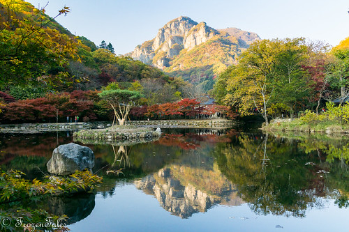 southkorea temple autumn foliage jeollanamdo