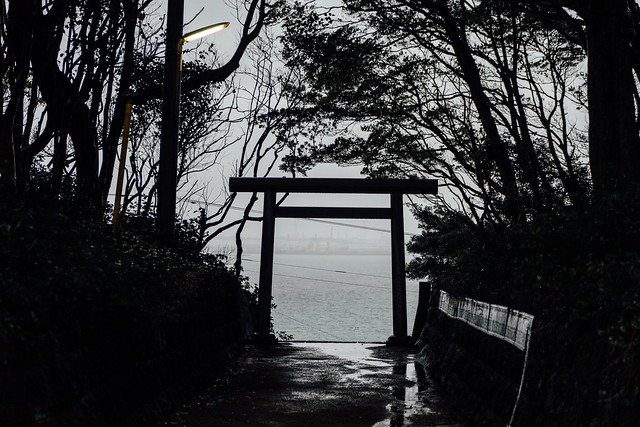 Sanctuary Of Truth After The Storm Torii Gate On The Beach Rainy Days Mysterious Place In The Forest Silhouette Silhouettes Shinto Shrine No People Trees Branches Alone Time Gate Travel Photography Traveling Hitachinaka October October 2017 at 酒列磯前神社