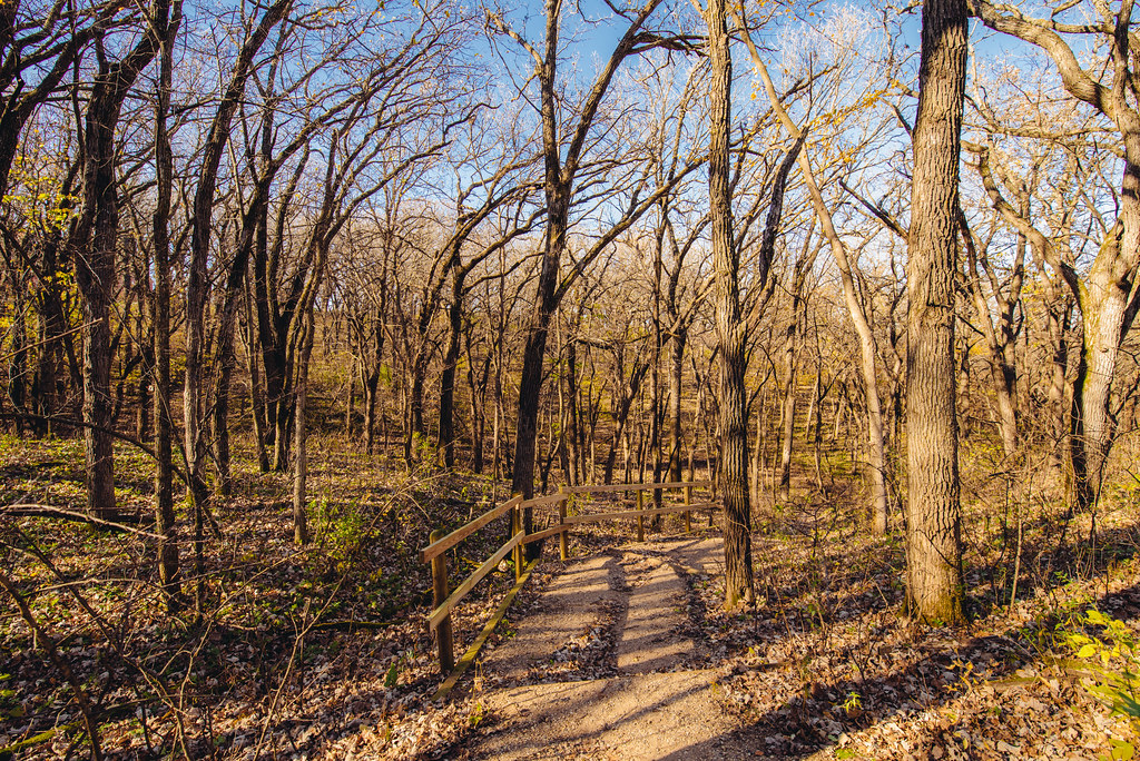 Kilen Woods State Park Campground