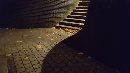 'Autumn night' - #Brussels #Belgium #night #photography #shadow #stairs #light #leaves #autumn