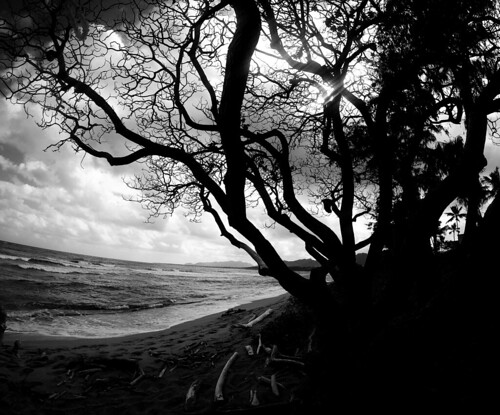 hawaii wailua kauai beach ocean silhouette hawaiinisland seascape landscapephotography gopro monochrome bw blackandwhite tropics pacificocean noir