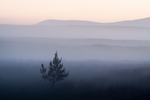 tirry night fog scotland tree highlands layers alba