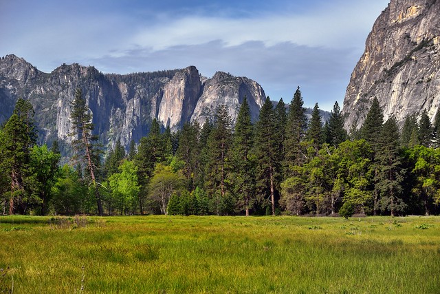 A Grassy Meadow and Mountains Peaks Beyond (Yosemite National Park)