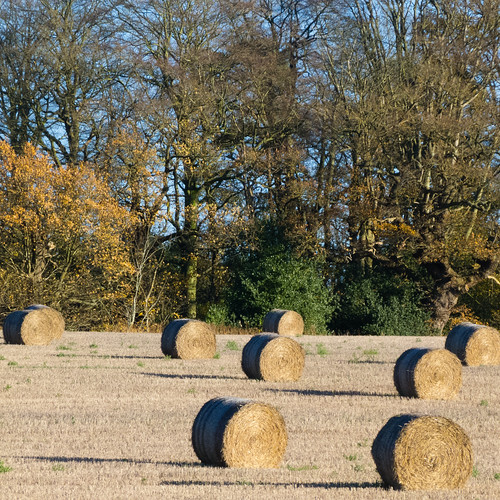 Modern haymaking, Berkswell