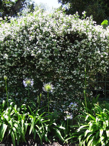 Durban Botanical Gardens