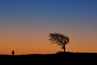 Lone tree, stargazer and Venus-Jupiter conjunction