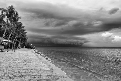 beach outdoors clouds sea shore palms monochrome blackwhite travel kohphangan thailand asia nikon nikond750 sigma2414art gazzda hrvojesimich