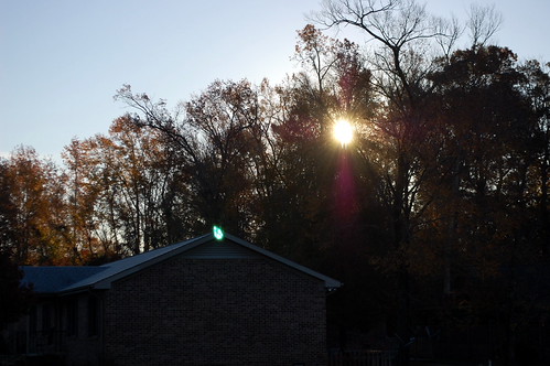 Morning Sun Through Trees. by dccradio, November 28, 2017 - The sun rises at the apartment complex where my wife and I reside. It is a bris