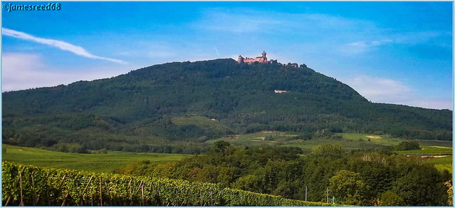 Chateau du Haut-Koenigsbourg depuis route des vins