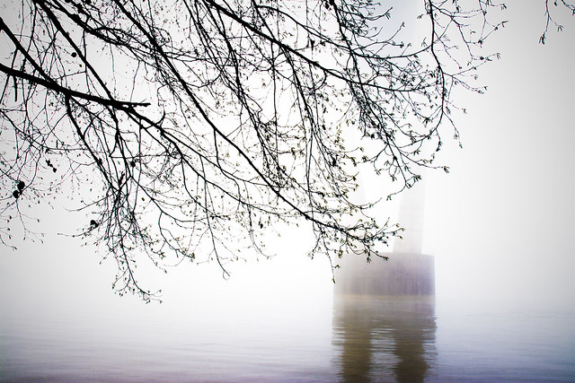 Fog Along the River, Skytrain Bridge, Surrey, BC