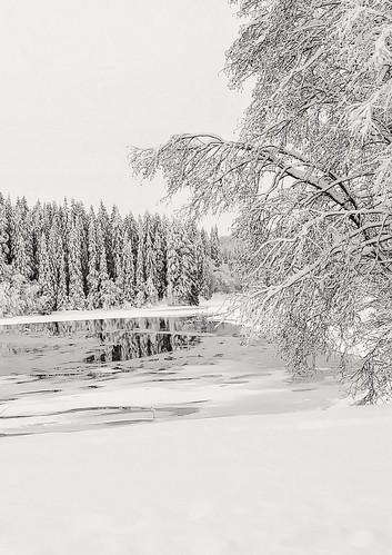 highkey winter winterwonderland pond ice snow pristinesnow december norway monochrome
