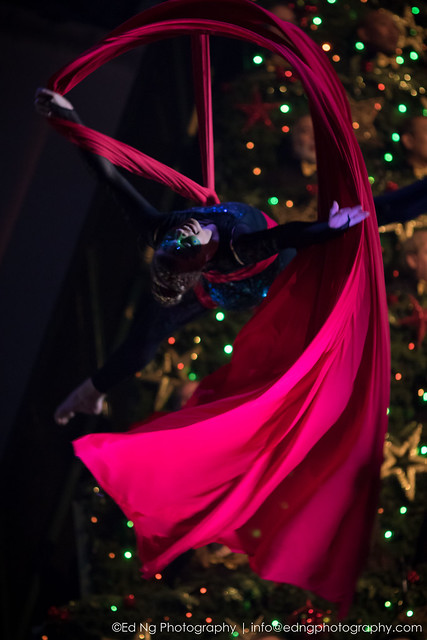 Vancouver Singing Christmas Tree || Ed Ng Photography