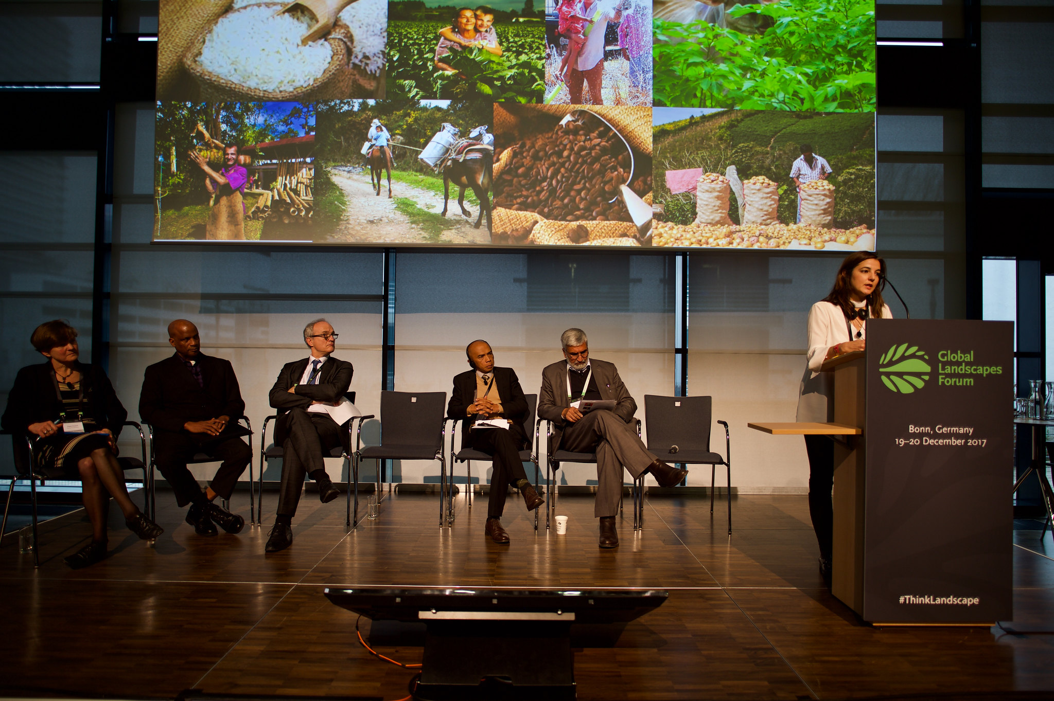 GLF Bonn 2017