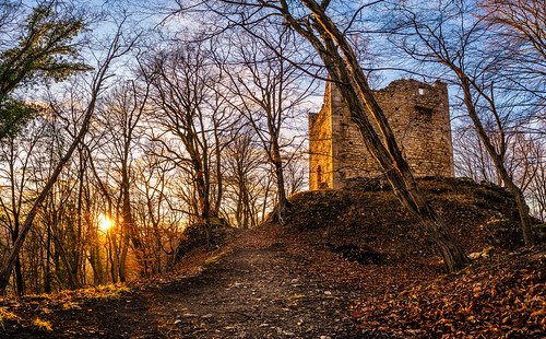 austria forest herbst panorama steiermark styria wildon a7ii autumn castle dawn ilce7ii landscape sel2470z sony sunset tower tree variotessartfe42470 österreich at