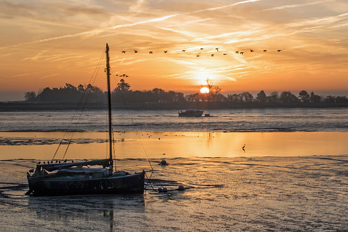 geese dawn eos canon sun “heybridgebasin“ maldon “northeyisland” elements sunrise heybridge river blackwater island birds morning
